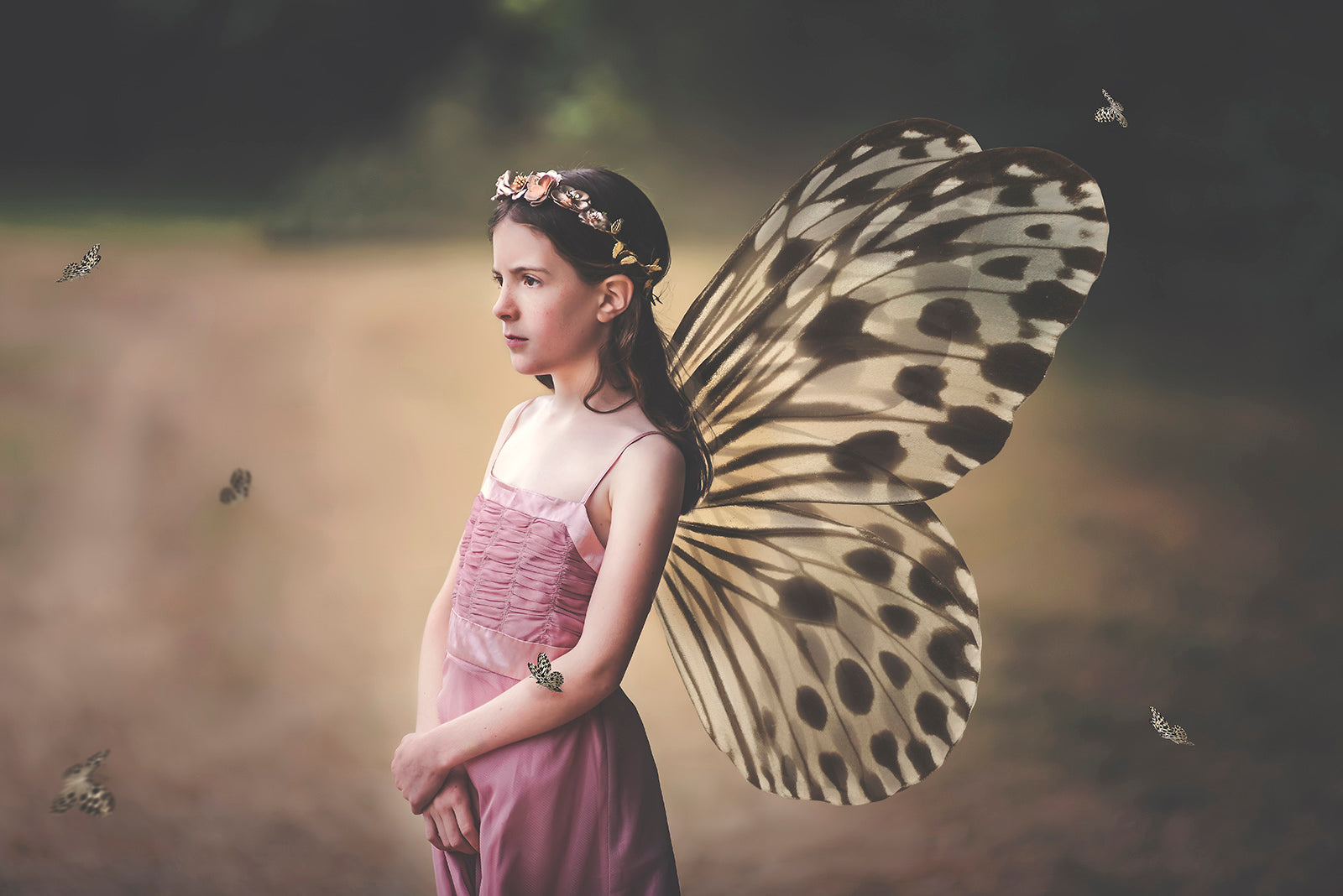 Digital Faery Wing Overlays. Png overlays for photoshop. Photography editing. High resolution, 300dpi fairy wings. Overlays for photography. Digital stock and resources. Graphic design. Fairy Photos. Colourful Fairy wings. Faerie Wings. ATP Textures. Overlays. Actions, Textures, Photo Resources, Photoshop.